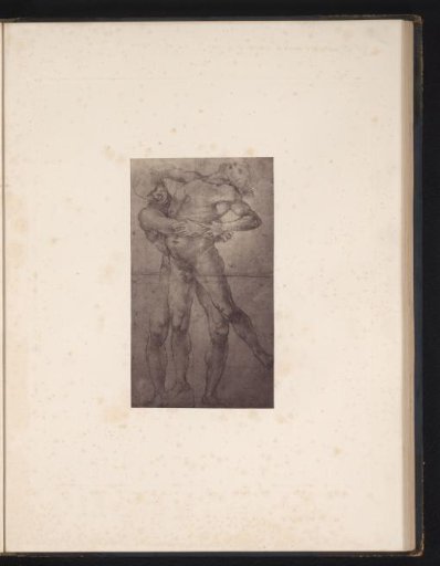 Photographic reproduction of a drawing by Raphael, Two Wrestling Men