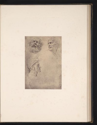 Photographic reproduction of a drawing by Raphael, Heads of Homer, Dante and an Unknown Poet