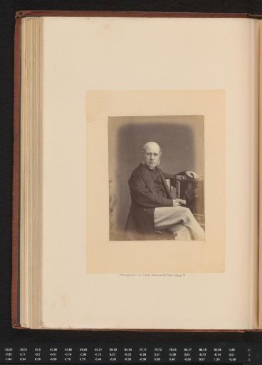 Portrait of the art critic George Scharf
