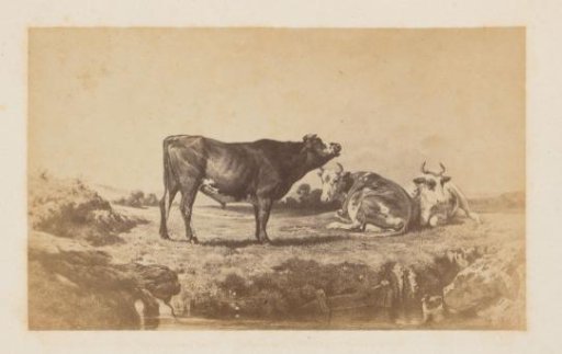 Photoreproduction of a painting by Rosa Bonheur of cattle in a landscape