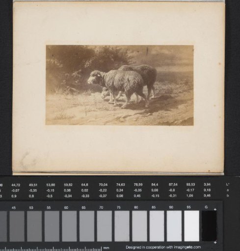 Photoreproduction of a painting by Rosa Bonheur of two sheep