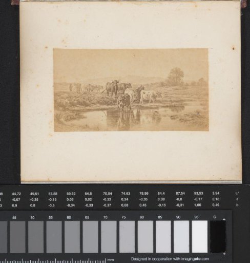 Photoreproduction of a painting by Rosa Bonheur of cattle in a landscape