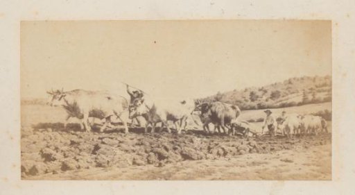 Photoreproduction of the painting Ploughing in the Nivernais by Rosa Bonheur
