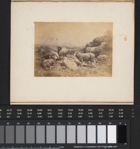 Photoreproduction of a painting by Rosa Bonheur of sheep