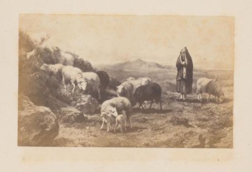 Photoreproduction of a painting by Rosa Bonheur of a shepherdess with sheep