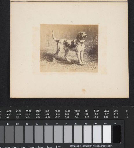 Photoreproduction of a painting by Rosa Bonheur of a hunting dog, called the Limier Briquet
