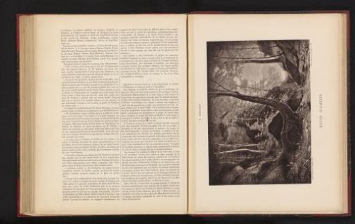 Photographic reproduction of the painting 'Ravin d'Amélie' by Paul Gustave Robinet