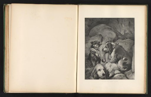 Reproduction of a print after a painting of dogs at a dead roe deer by Edwin Landseer