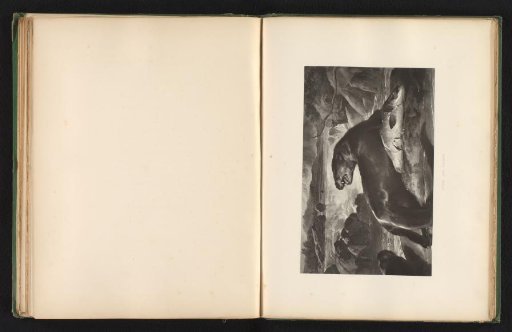 Reproduction of a print after a painting of an otter with a salmon by Edwin Landseer