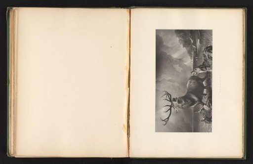 Reproduction of a print after a painting of a stag at a bay by Edwin Landseer