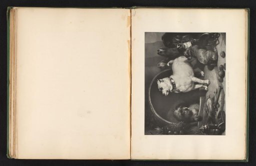 Reproduction of a print after a painting of dogs by Edwin Landseer