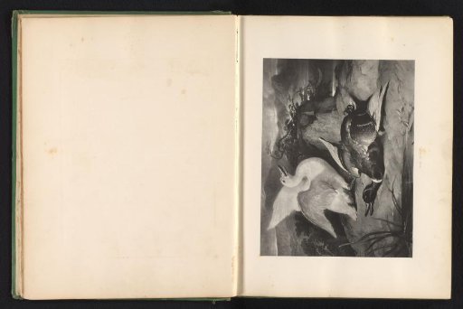 Reproduction of a print after a painting of two ducks by Edwin Landseer