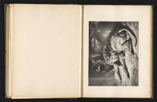 Reproduction of a print after a painting of a sleeping bloodhound by Edwin Landseer