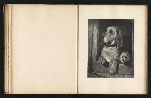 Reproduction of a print after a painting of two dogs by Edwin Landseer