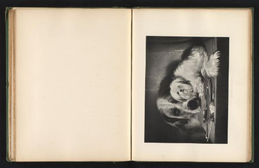 Reproduction of a print after a painting of two dogs and a mouse by Edwin Landseer