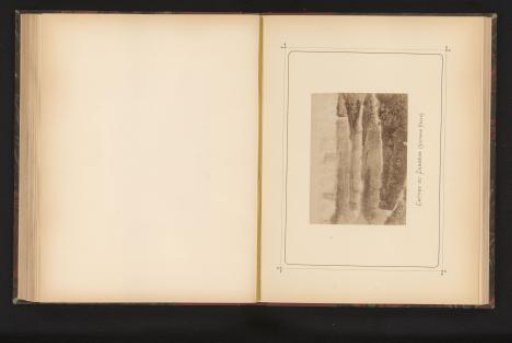 Photographic reproduction of a print of the Zambezi, with the Victoria Falls in the distance