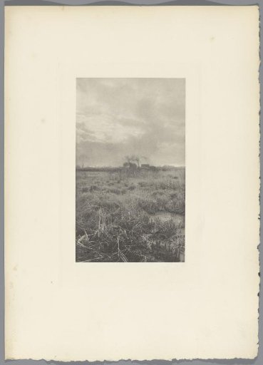 Heath Landscape
