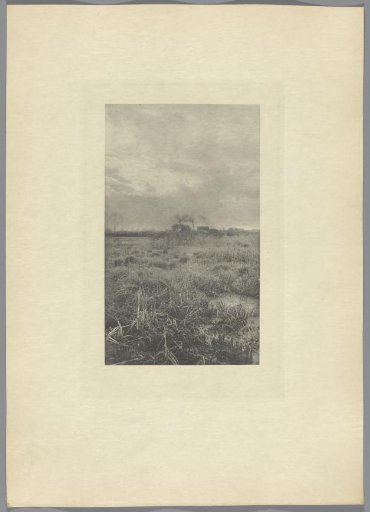 Heath Landscape