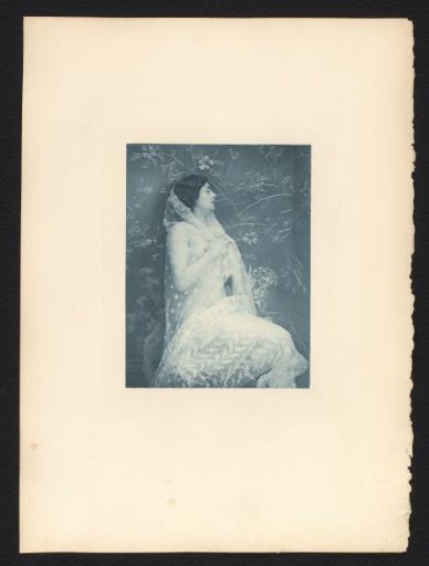 Female Nude in a Sheer Veil