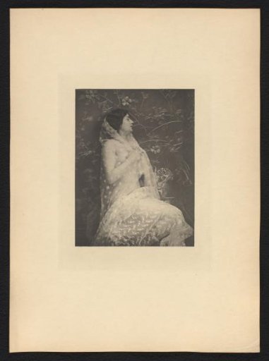Female Nude in a Sheer Veil