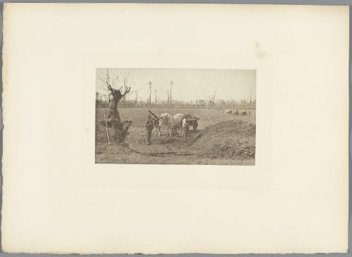 Boeren bij een ossenkar op een akker, Pavie