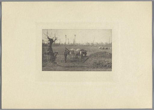 Boeren bij een ossenkar op een akker, Pavie