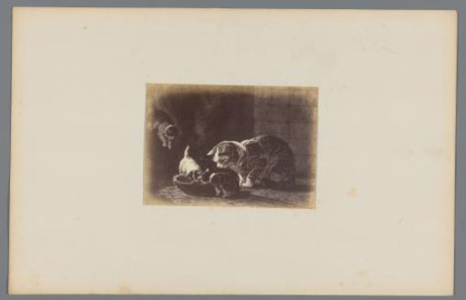 Photographic reproduction of the painting 'After the Meal' by Henriëtte Ronner