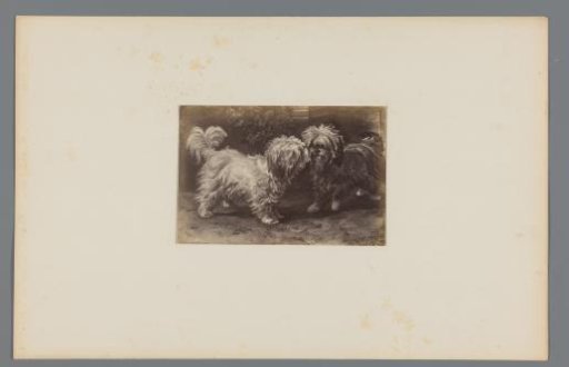 Photographic reproduction of the painting 'Introduction' by Ferdinand Ernst Lintz