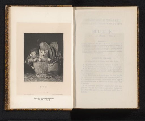 Reproduction of a Painting of Kittens in a Basket by Louis-Eugène Lambert