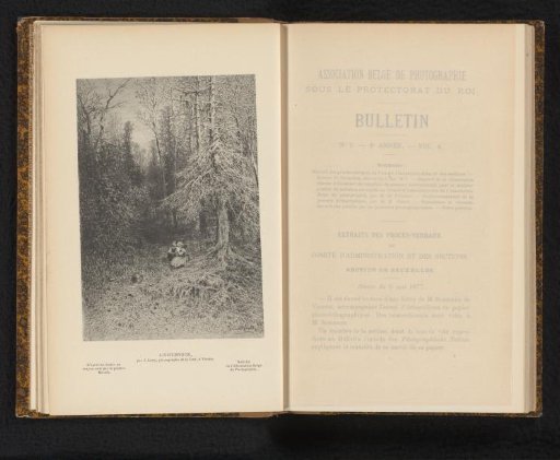 Reproduction of a drawing of two children in a forest by Julius Marzak
