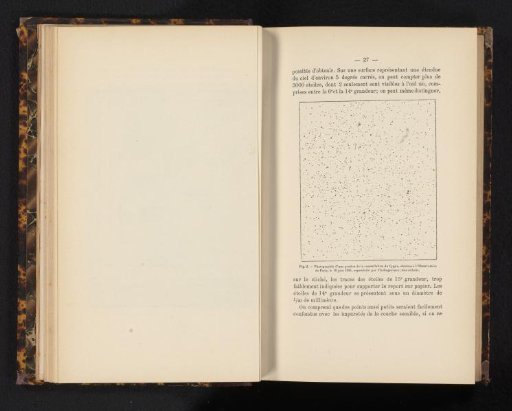 The Constellation Cygnus, Seen from the Observatoire de Paris