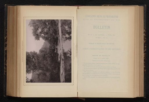 Trees by the water, Chaudfontaine