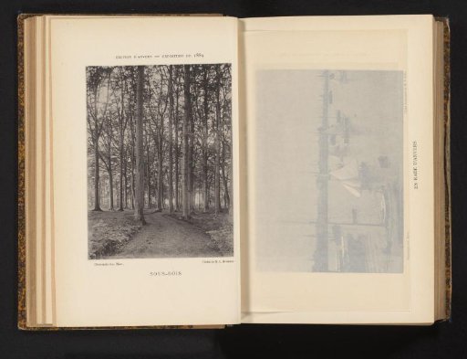 Path in a deciduous forest