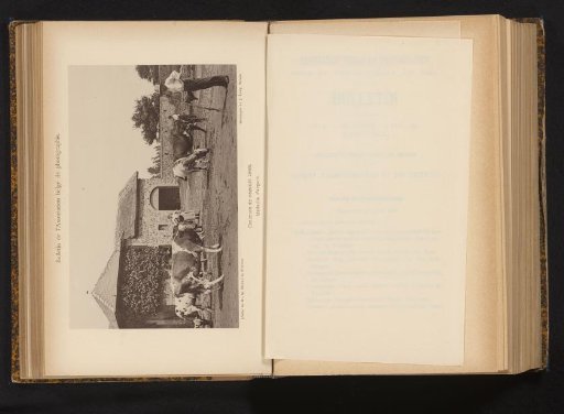 Farmer, farmer's wife and cows in front of a farm
