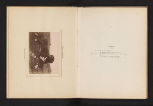 Photographic reproduction of the painting Chien de berger by Rosa Bonheur