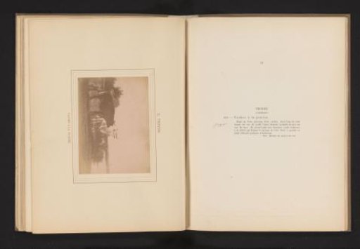 Photographic reproduction of the painting Vaches à la prairie by Constant Troyon