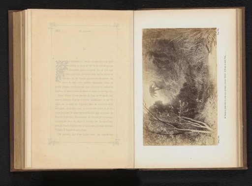 Photographic reproduction of a drawing of a man shooting a platypus