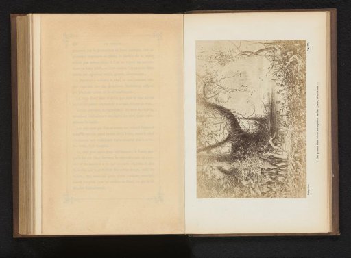 Photographic reproduction of a drawing of swimming indigenous inhabitants of Australia