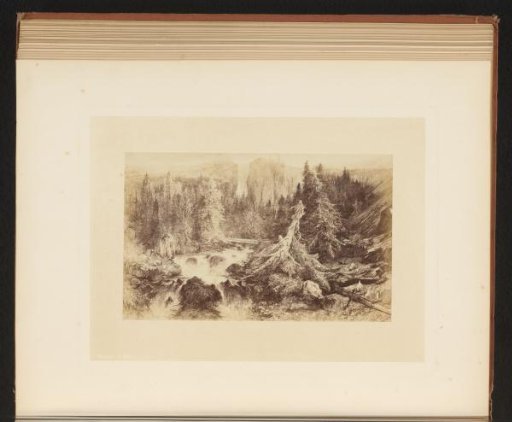 Photographic reproduction of an engraving after a painting of the Black Forest by Johannes Warnardus Bilders