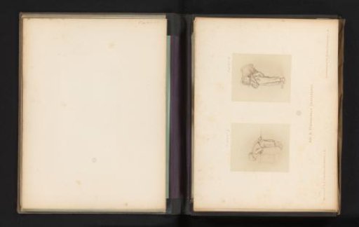 Photographic reproduction of a sketch of a boy with a net by Albert Hendschel