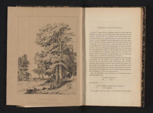 Photographic reproduction of an etching depicting people under trees in a landscape