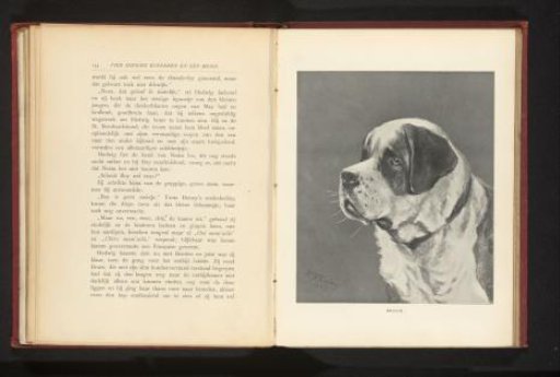 Reproduction of a painting of a dog