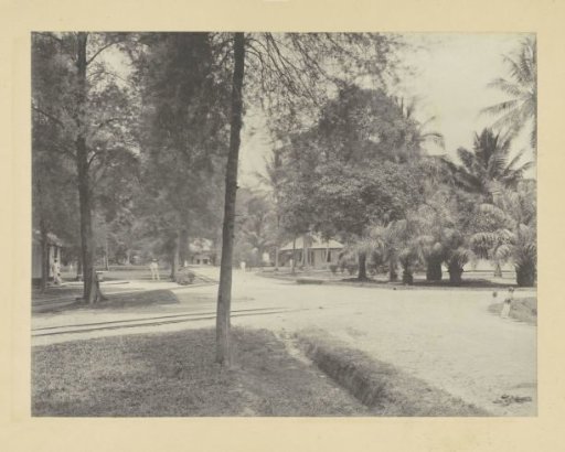 Avenue with trees, houses and Europeans in Indonesia