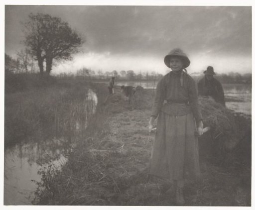 Haymaking at the Norfolk Broads