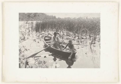 Gathering Water-Lilies