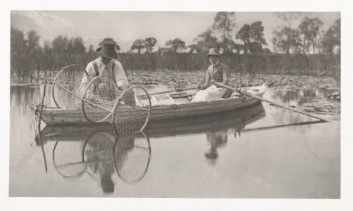 Setting a Fish Trap at the Norfolk Broads