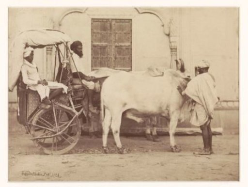 Men on a bullock cart in Rajasthan, India