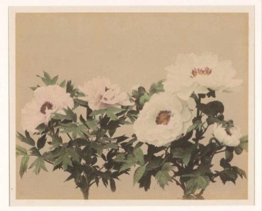 Flower Still Life with Peonies