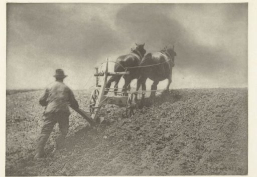 Man Behind a Horse Plough in Suffolk