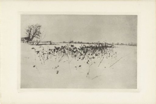 The Snow Garden